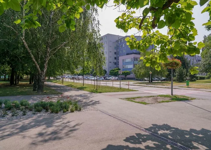 Apartment Vesna Convenient By Chors